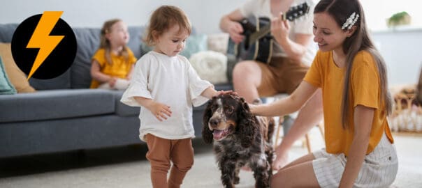DIY Pest Control vs Professional