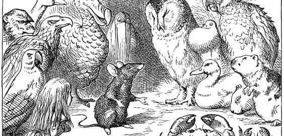 Pacific Northwest Rodents Part 2 – Mice