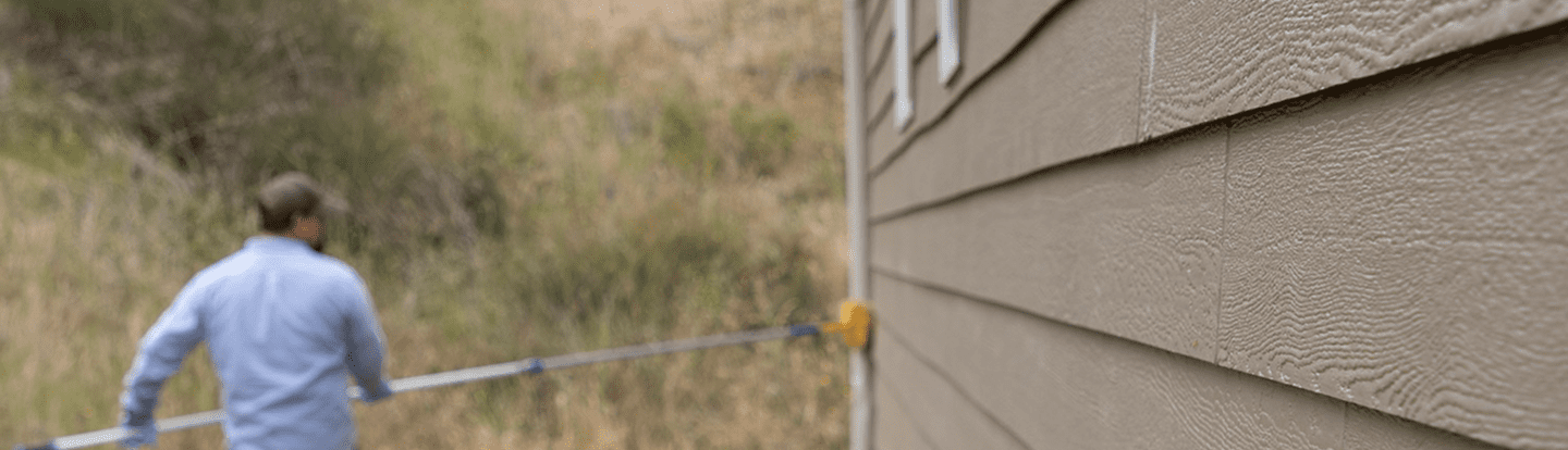 Town and Country Pest: Your Local Pest Solutions