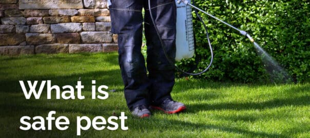 What is Pet Safe Pest Control?