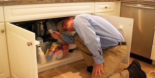 Where Do Roaches Live? Understanding German Roaches Habitats