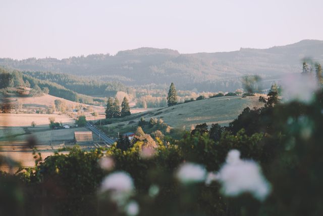 Pest Control Locations in Oregon — Portland & More