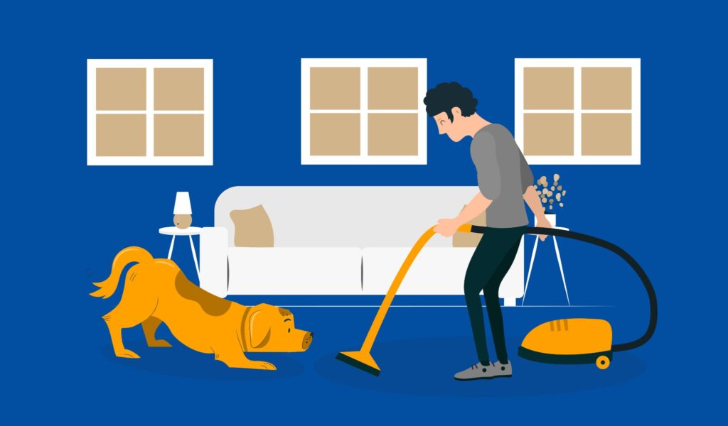 Illustration of household pest-proofing