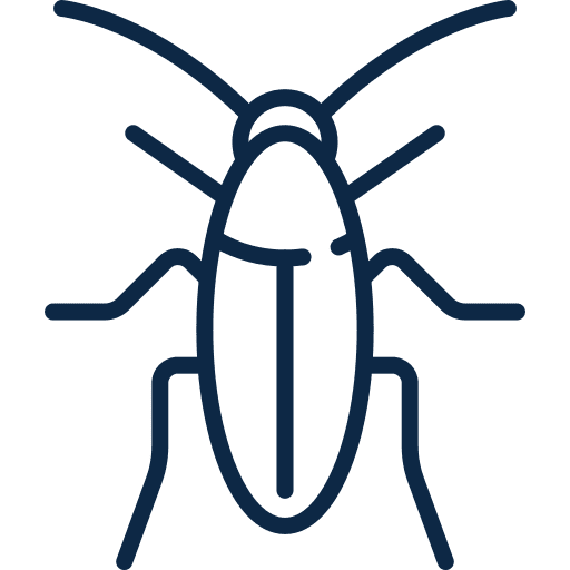 cockroach icon