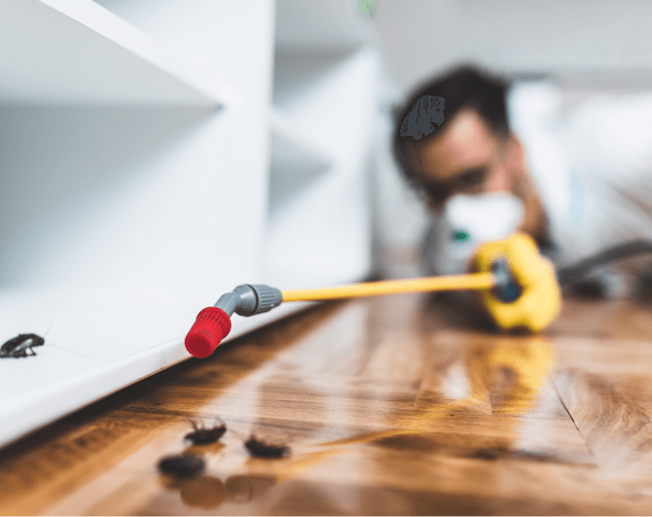 Exterminator spraying pesticide on floor near cockroaches