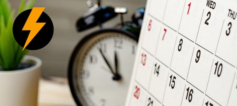 How Often Should Pest Control Be Done?