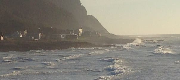 Why Indoor Pest Treatment?