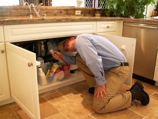 Exterminator inspecting under kitchen sink