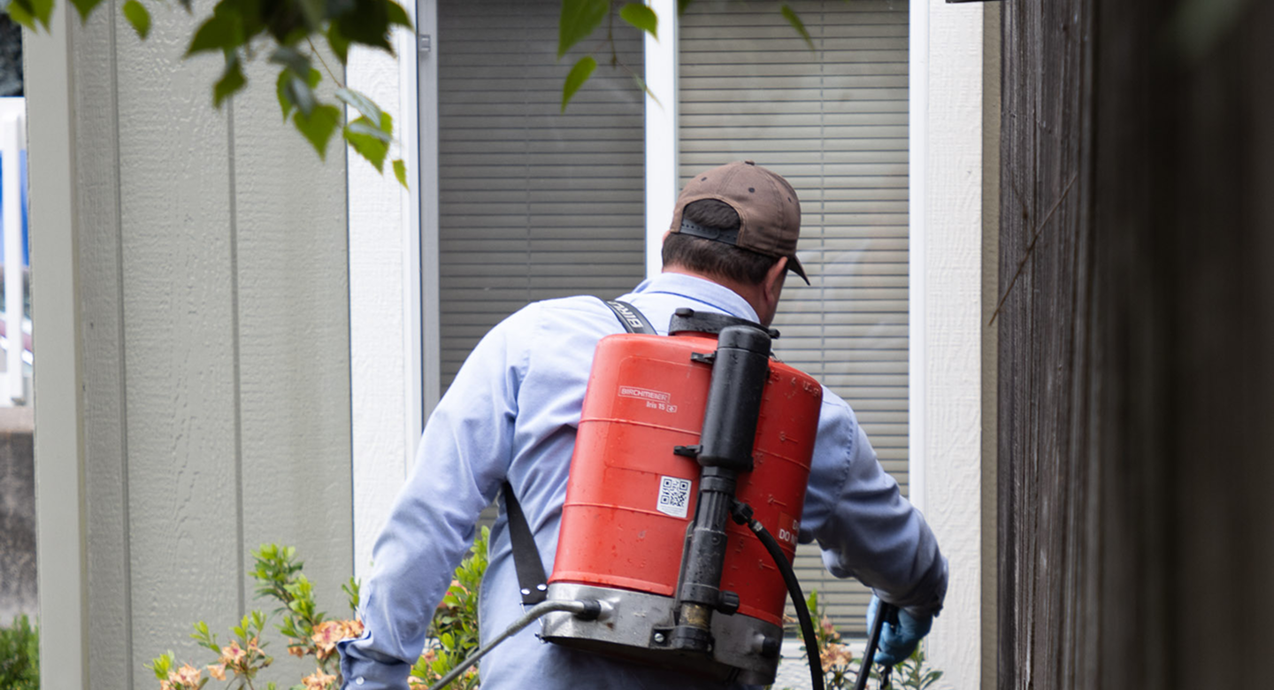man with tank spraying for pests