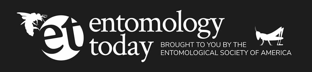 entomology today logo