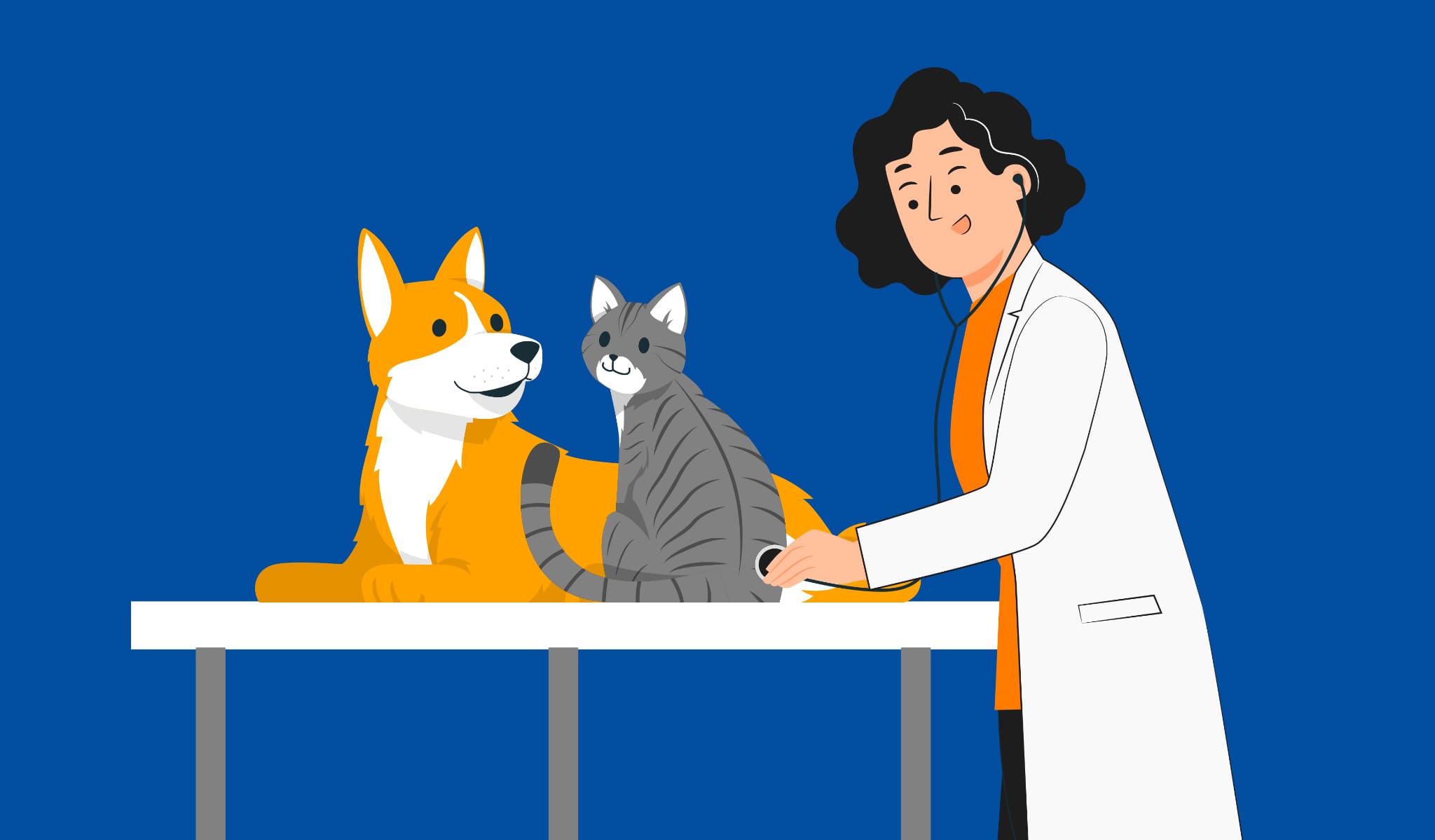 dog cat and vet doctor